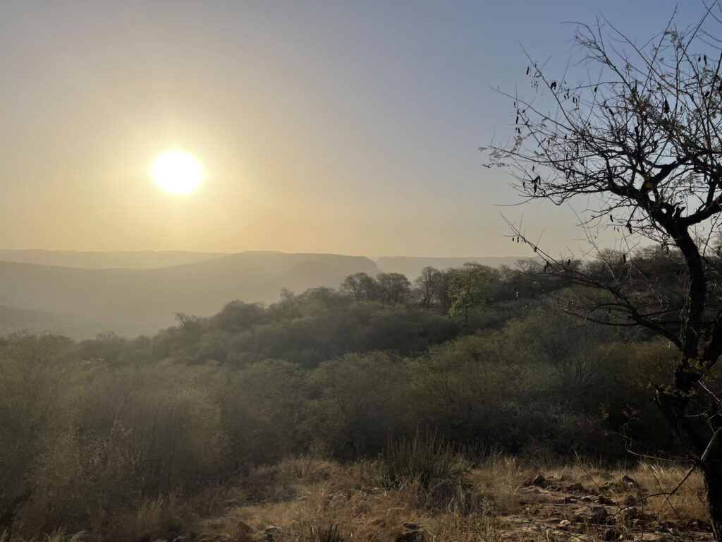Impressions from India