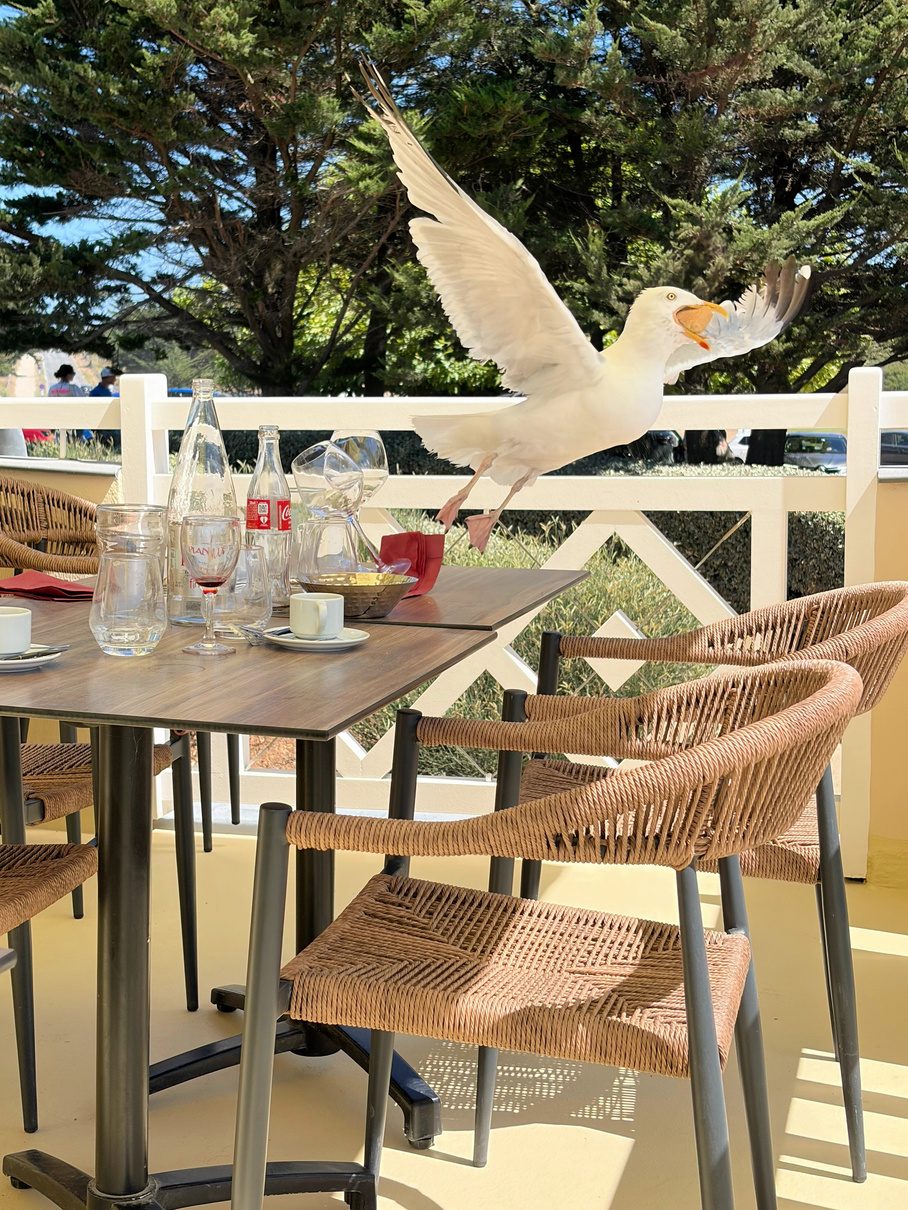 Dining terrace at Dinard Golf Club