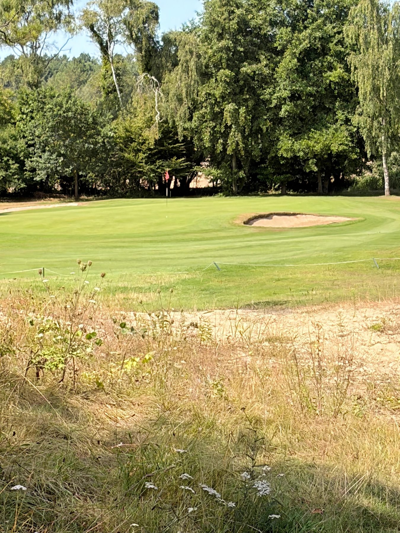 Green guarded by a bunker