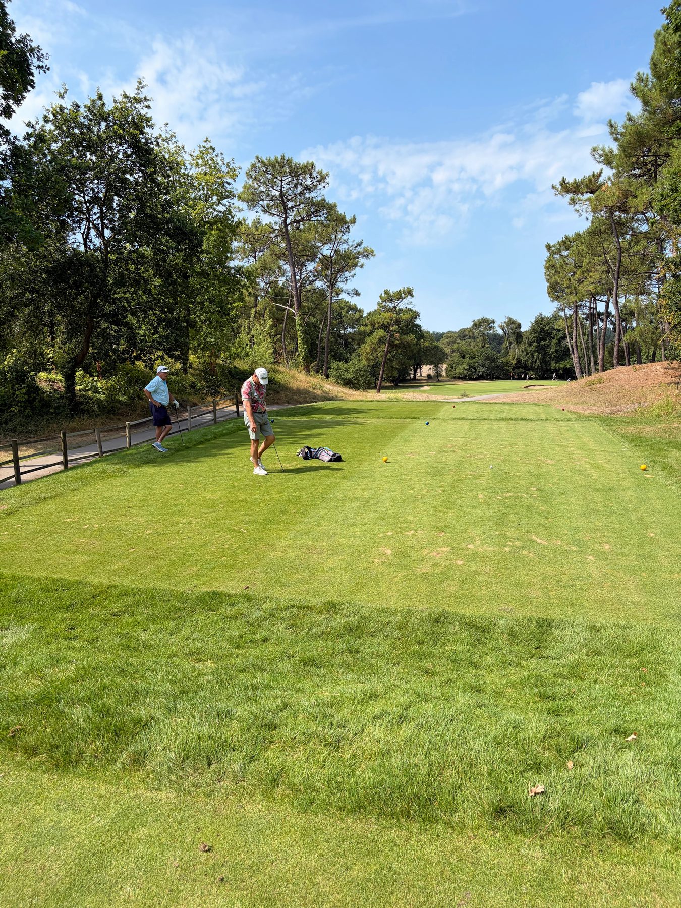 Tee box framed by pine trees