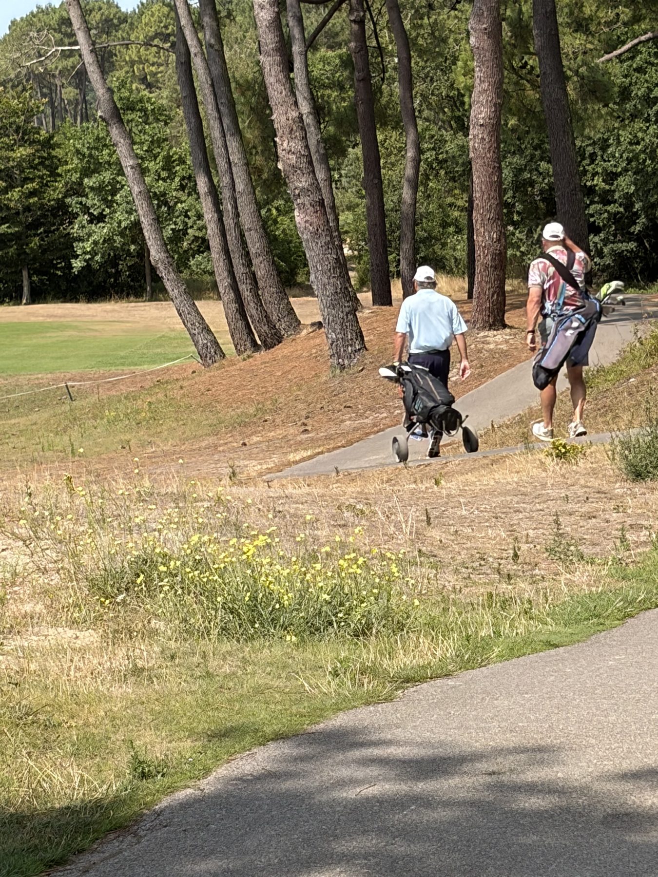 Golfers walking through the pines at Le Touquet