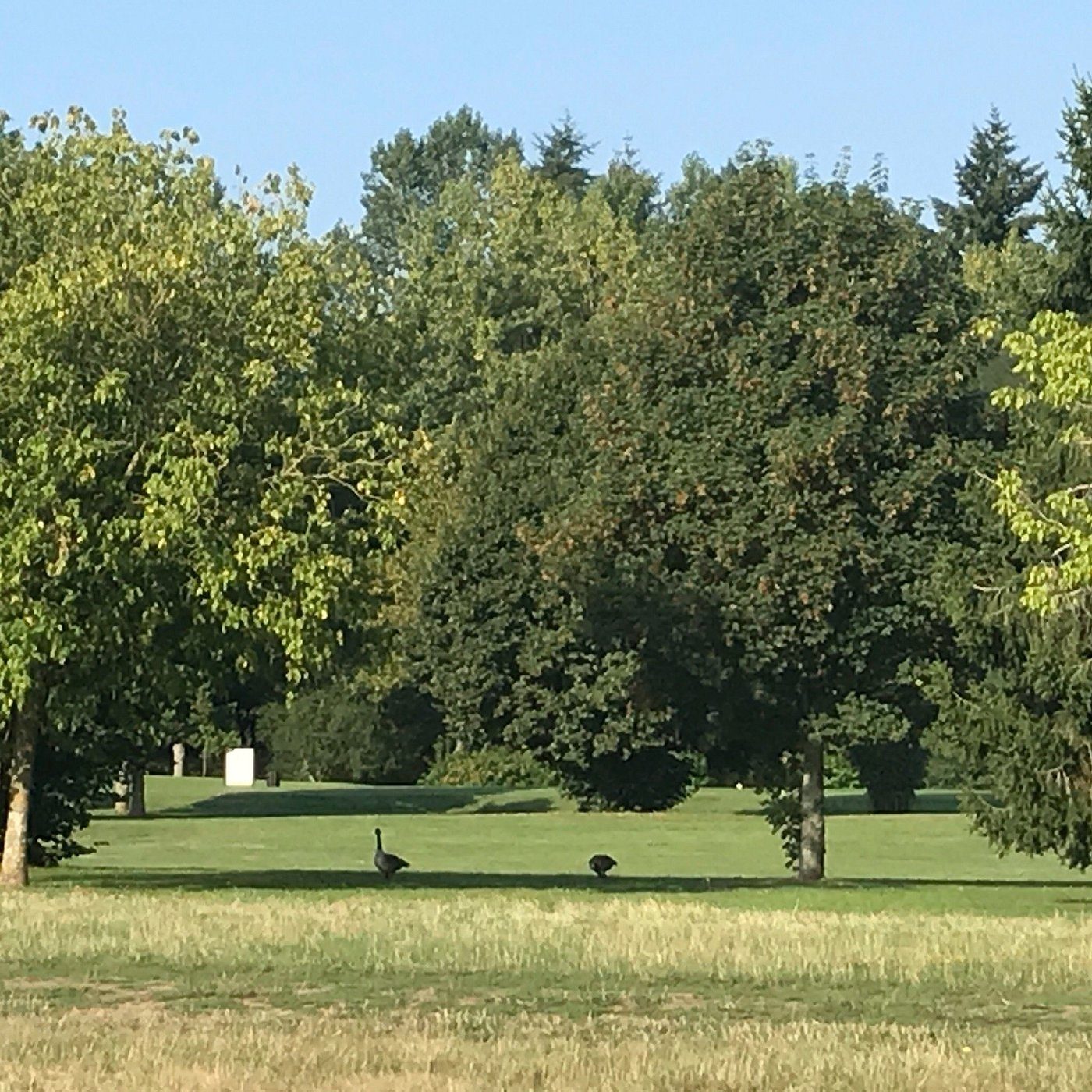 Fairway at Les Ormes Golf Club beside L'Oisette