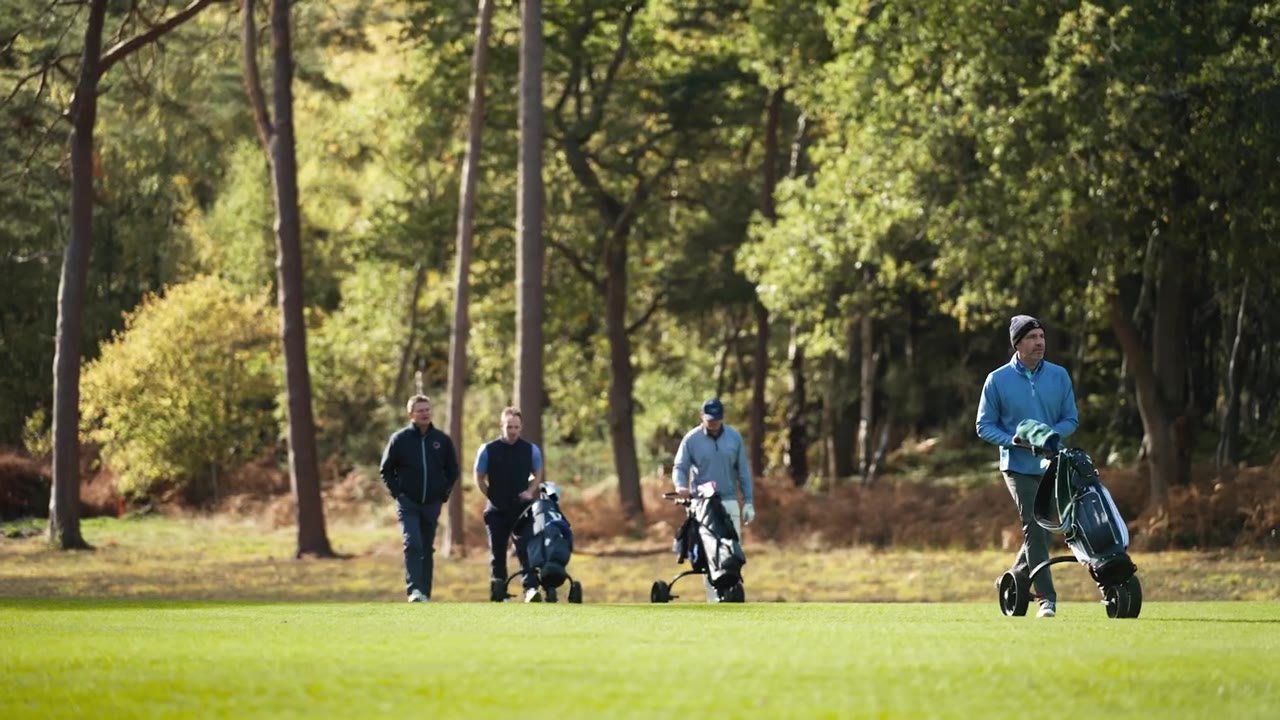 Tour operators walking a pine-lined fairway at Worplesdon Golf Club